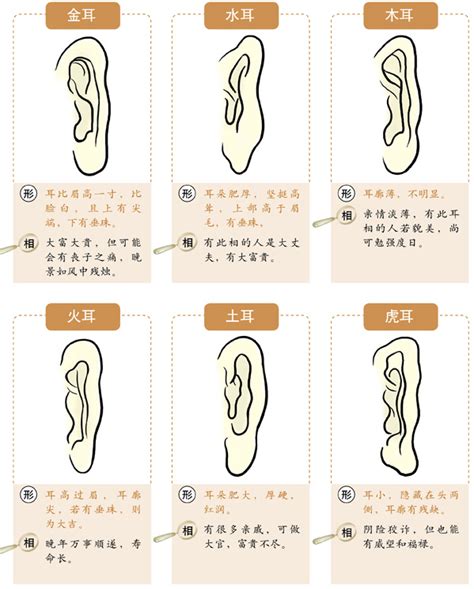 耳朵風水|十六种耳朵面相图文分析三六风水网